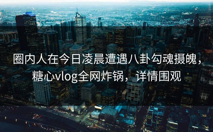 圈内人在今日凌晨遭遇八卦勾魂摄魄，糖心vlog全网炸锅，详情围观