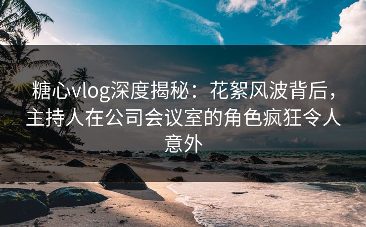 糖心vlog深度揭秘：花絮风波背后，主持人在公司会议室的角色疯狂令人意外
